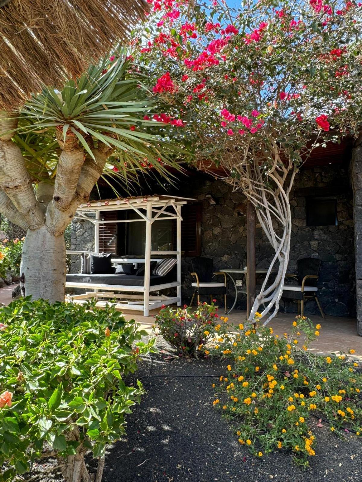 Castillo Lanzarote Villa Bailey - Luxury Villa - Pet Friendly With Heated Pool La Asomada  Exteriér fotografie